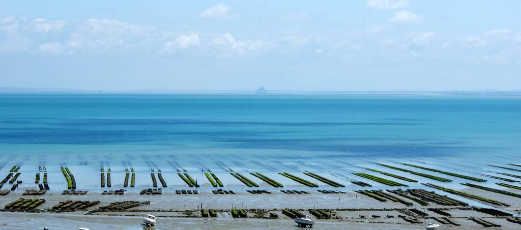 Cancale, capitale de l’huître bretonne — port, marées et sentiers côtiers